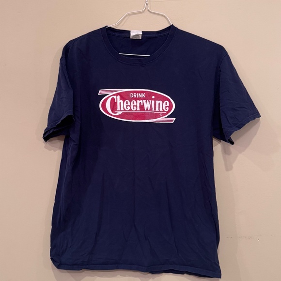 Fruit of the Loom Other - ❤️❤️ 3/$30 Cheerwine Tee shirt size Large